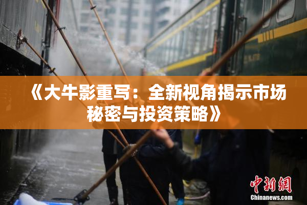 《大牛影重写：全新视角揭示市场秘密与投资策略》