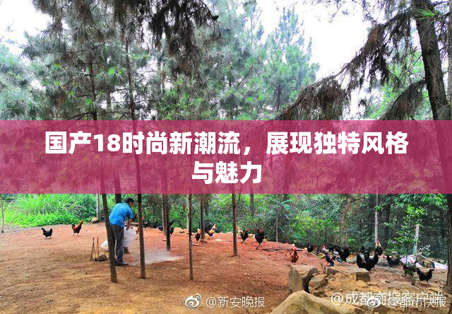 国产18时尚新潮流，展现独特风格与魅力