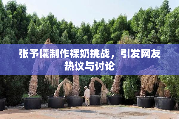 张予曦制作裸奶挑战，引发网友热议与讨论