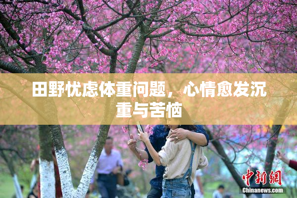 田野忧虑体重问题，心情愈发沉重与苦恼