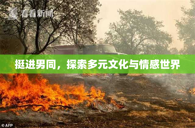 挺进男同，探索多元文化与情感世界