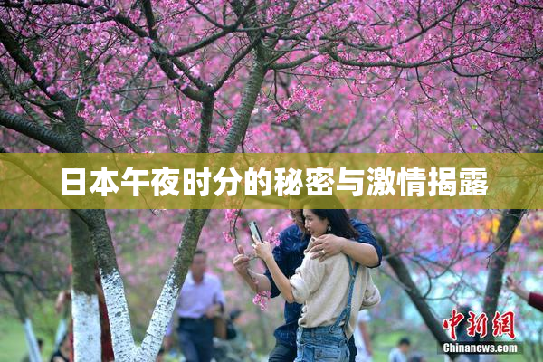 日本午夜时分的秘密与激情揭露