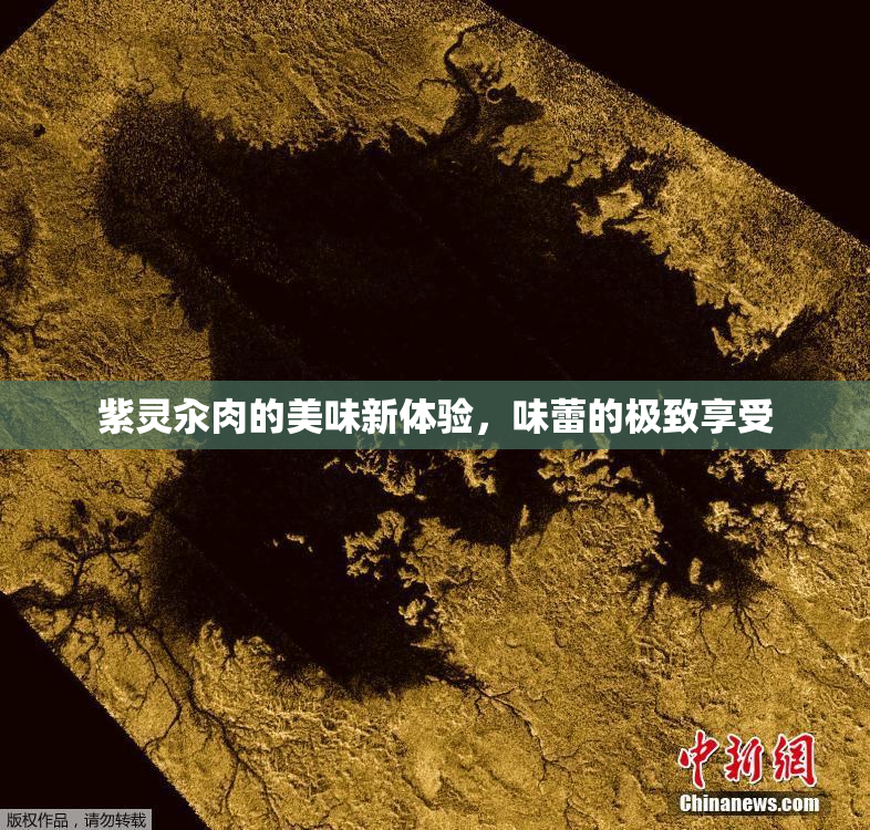 紫灵汆肉的美味新体验，味蕾的极致享受