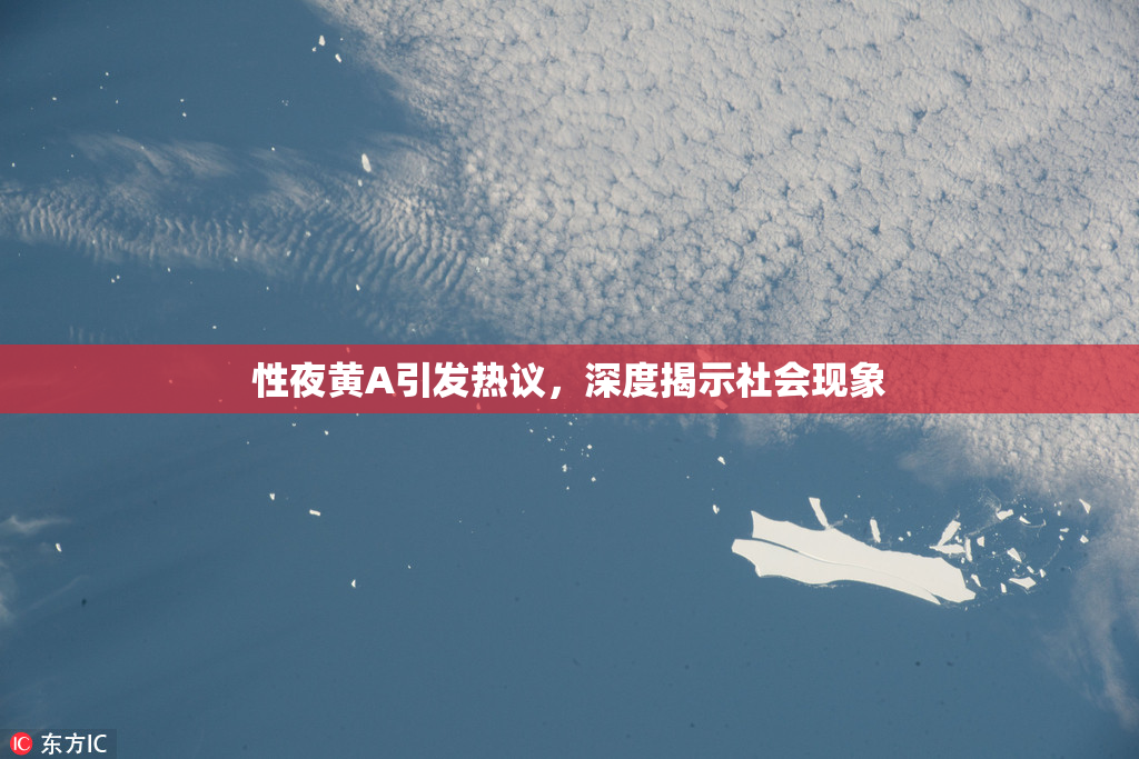 性夜黄A引发热议，深度揭示社会现象