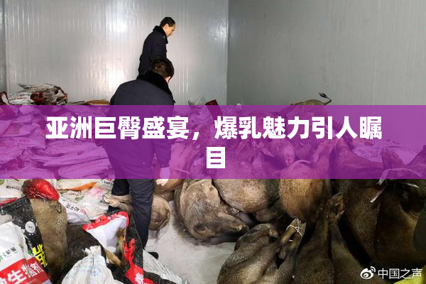 亚洲巨臀盛宴，爆乳魅力引人瞩目