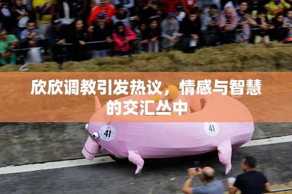欣欣调教引发热议，情感与智慧的交汇丛中