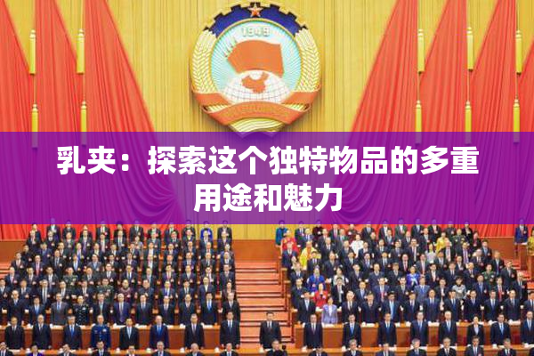 乳夹：探索这个独特物品的多重用途和魅力