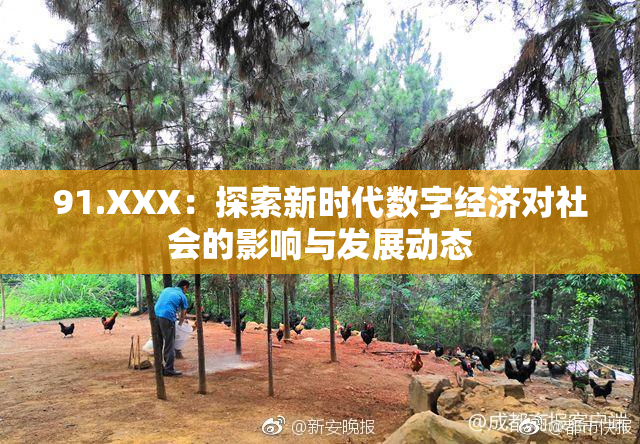 91.XXX：探索新时代数字经济对社会的影响与发展动态