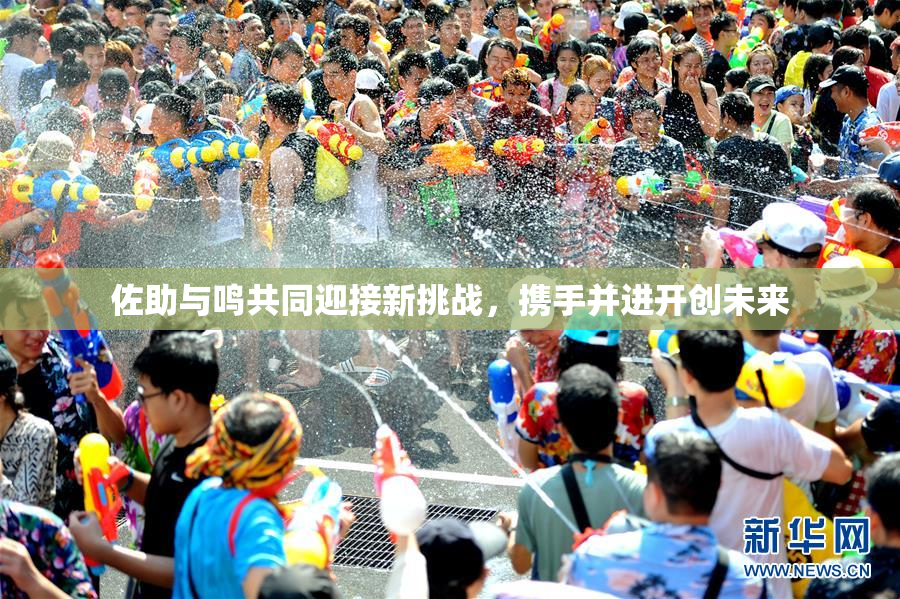 佐助与鸣共同迎接新挑战，携手并进开创未来