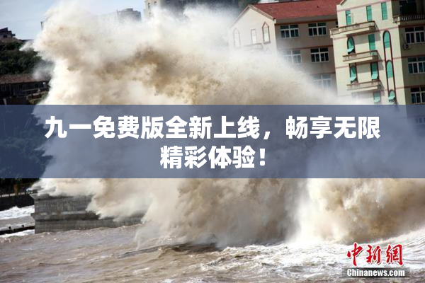 九一免费版全新上线，畅享无限精彩体验！