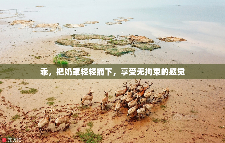 乖，把奶罩轻轻摘下，享受无拘束的感觉
