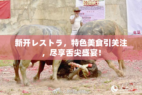 新开レストラ，特色美食引关注，尽享舌尖盛宴！