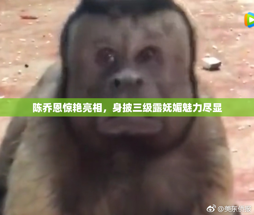 陈乔恩惊艳亮相，身披三级露妩媚魅力尽显