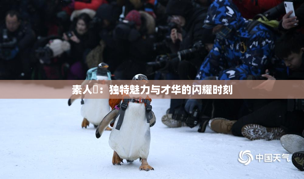 素人蘭：独特魅力与才华的闪耀时刻