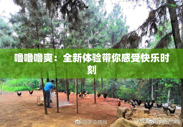 噜噜噜爽：全新体验带你感受快乐时刻