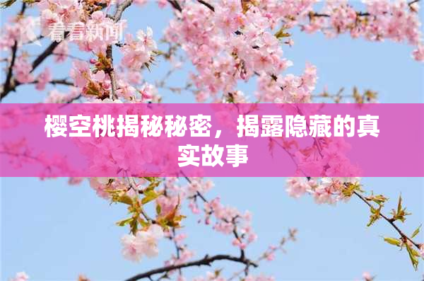 樱空桃揭秘秘密，揭露隐藏的真实故事