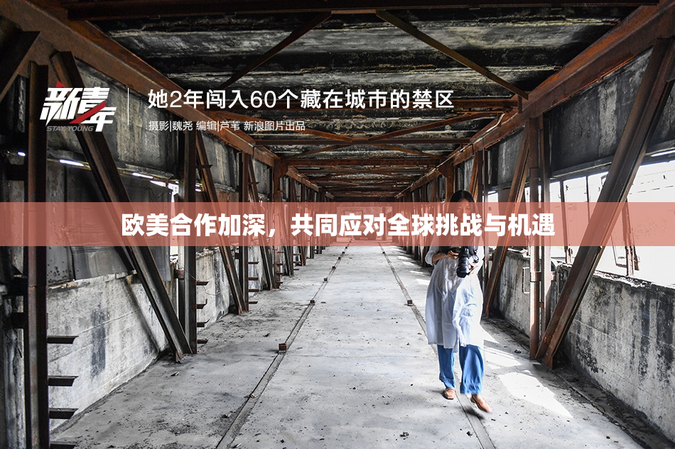 欧美合作加深，共同应对全球挑战与机遇