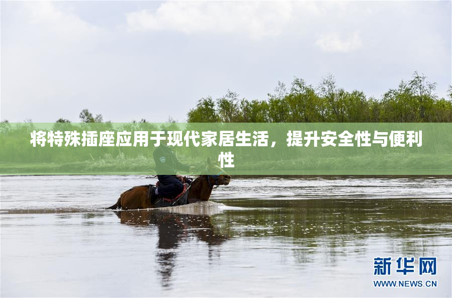 将特殊插座应用于现代家居生活，提升安全性与便利性