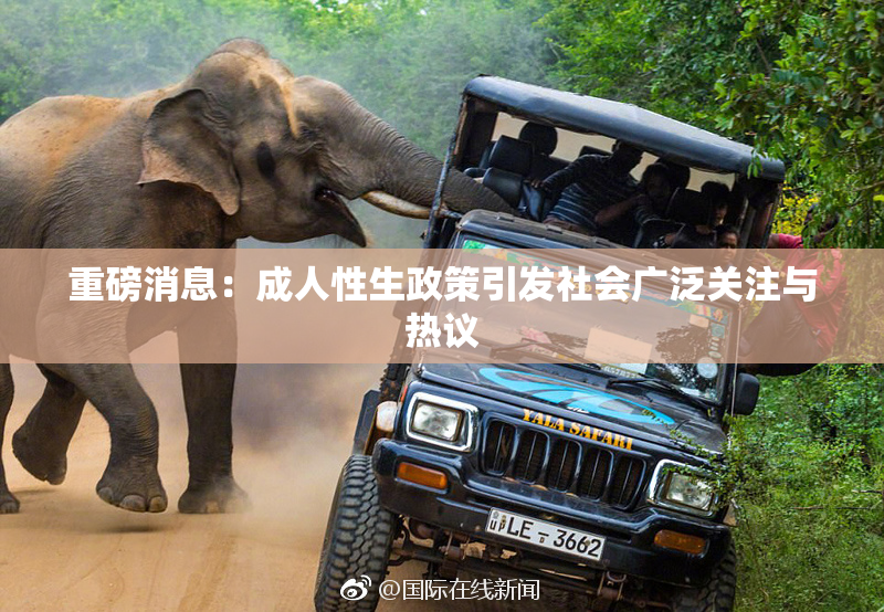 重磅消息：成人性生政策引发社会广泛关注与热议