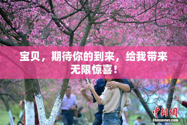 宝贝，期待你的到来，给我带来无限惊喜！