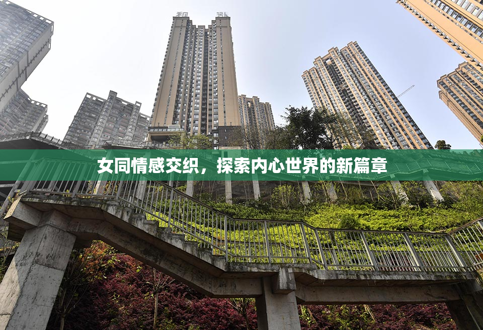 女同情感交织，探索内心世界的新篇章