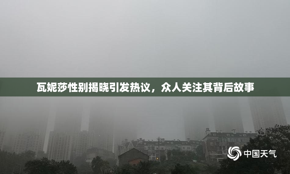 瓦妮莎性别揭晓引发热议，众人关注其背后故事