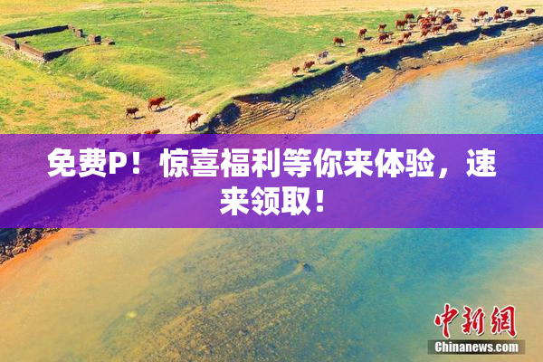 免费P！惊喜福利等你来体验，速来领取！