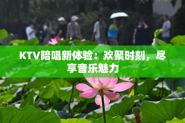 KTV陪唱新体验：欢聚时刻，尽享音乐魅力