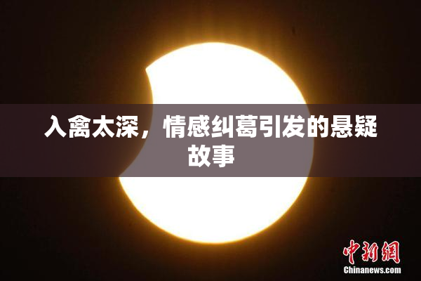 入禽太深，情感纠葛引发的悬疑故事