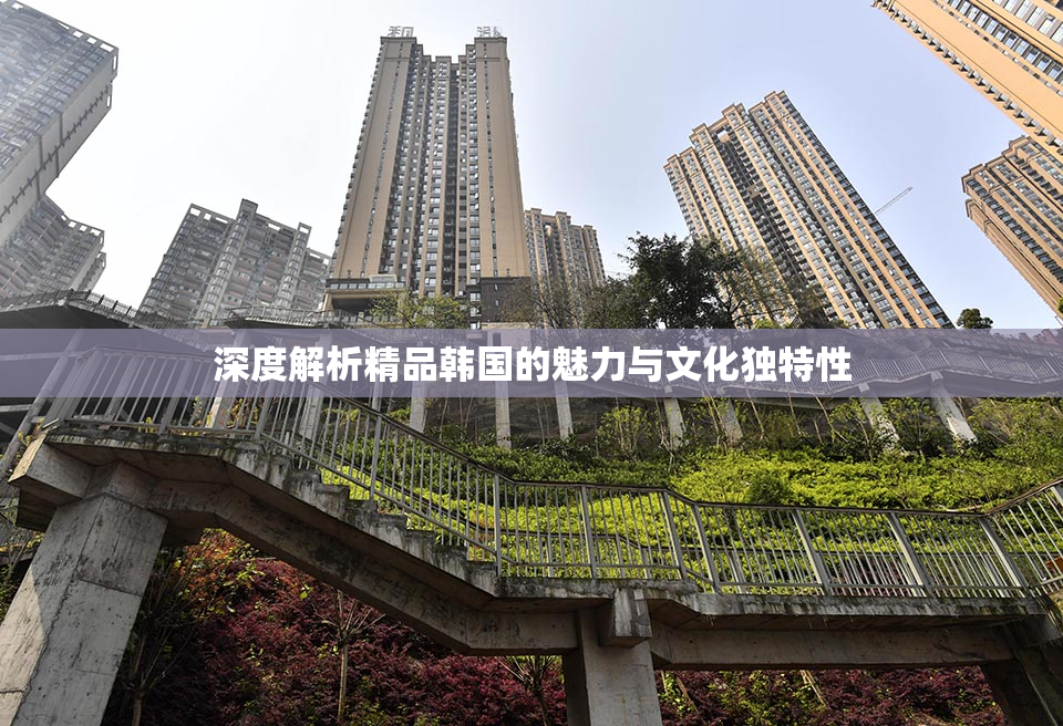 深度解析精品韩国的魅力与文化独特性