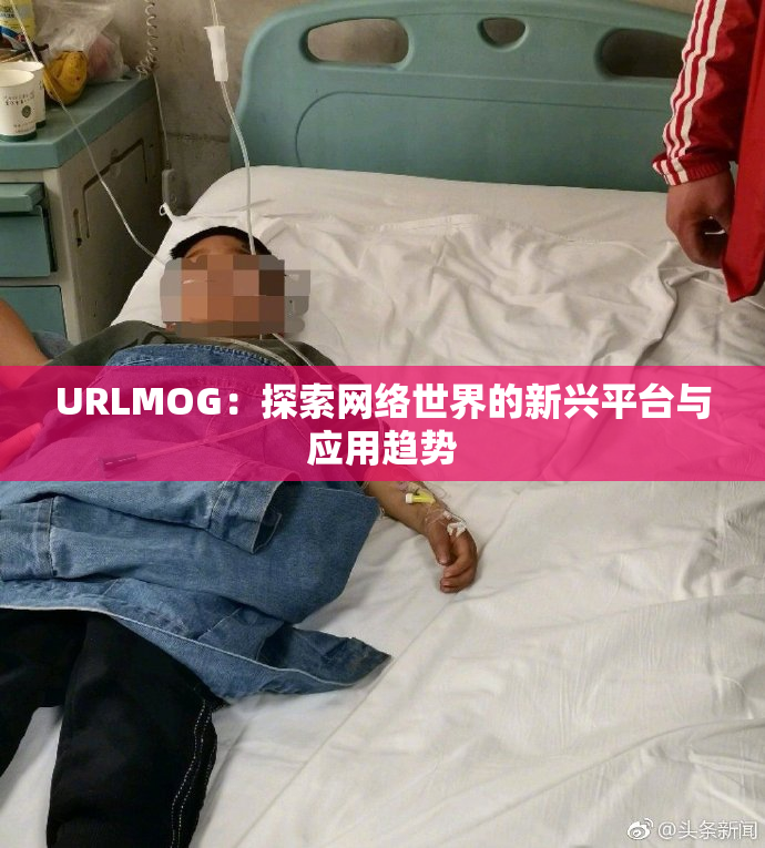URLMOG：探索网络世界的新兴平台与应用趋势
