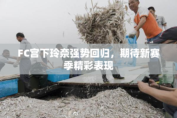 FC宫下玲奈强势回归，期待新赛季精彩表现