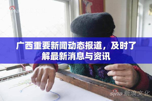 广西重要新闻动态报道，及时了解最新消息与资讯