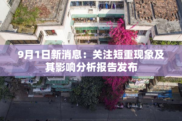9月1日新消息：关注短重现象及其影响分析报告发布