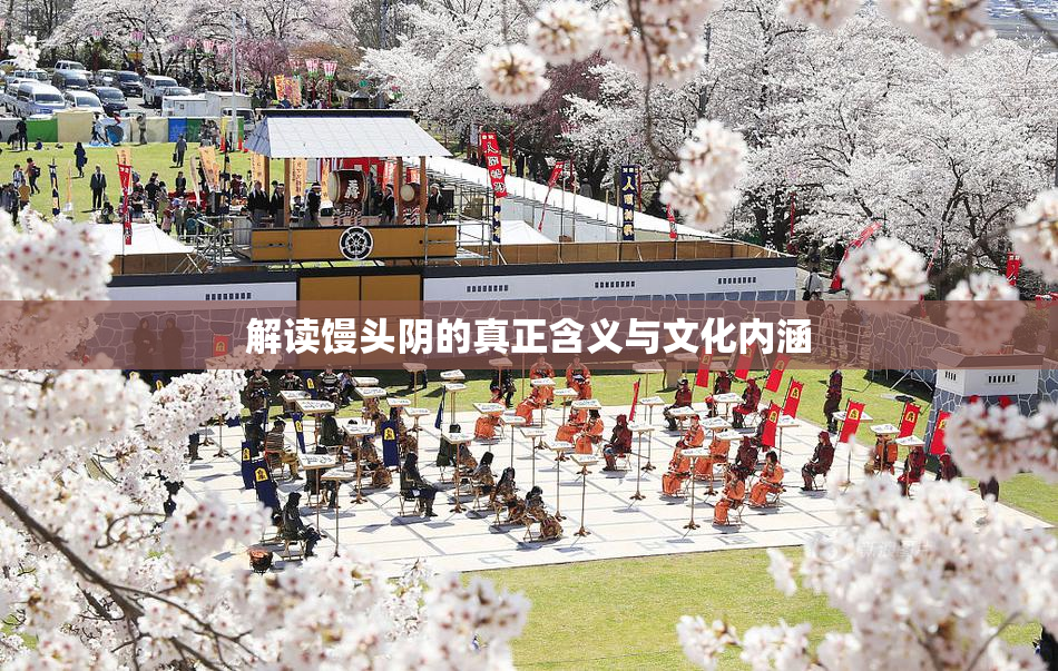 解读馒头阴的真正含义与文化内涵