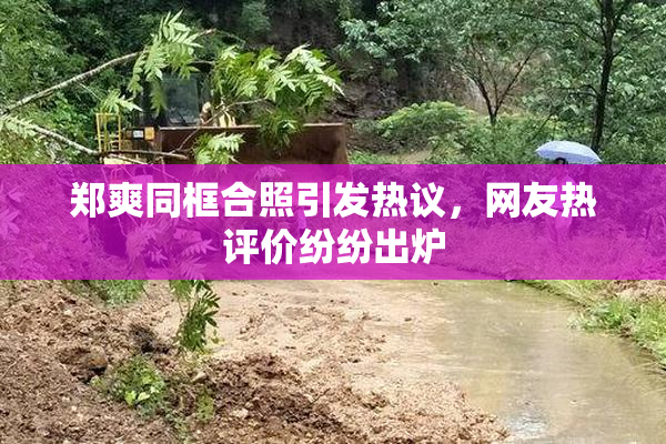 郑爽同框合照引发热议，网友热评价纷纷出炉