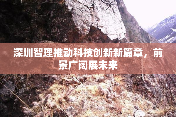深圳智理推动科技创新新篇章，前景广阔展未来