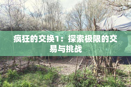 疯狂的交换1：探索极限的交易与挑战