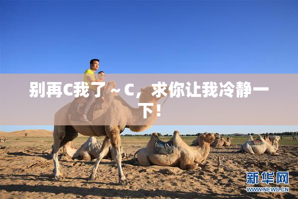 别再C我了～C，求你让我冷静一下！