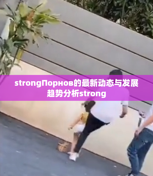 strongПорнов的最新动态与发展趋势分析strong