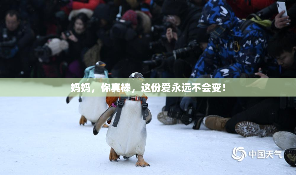 妈妈，你真棒，这份爱永远不会变！