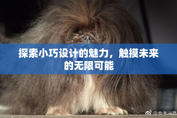 探索小巧设计的魅力，触摸未来的无限可能