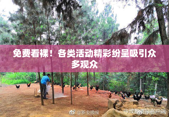免费看裸！各类活动精彩纷呈吸引众多观众