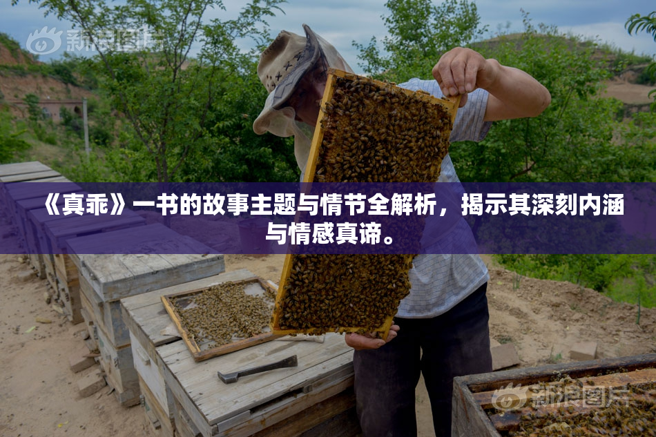 《真乖》一书的故事主题与情节全解析，揭示其深刻内涵与情感真谛。