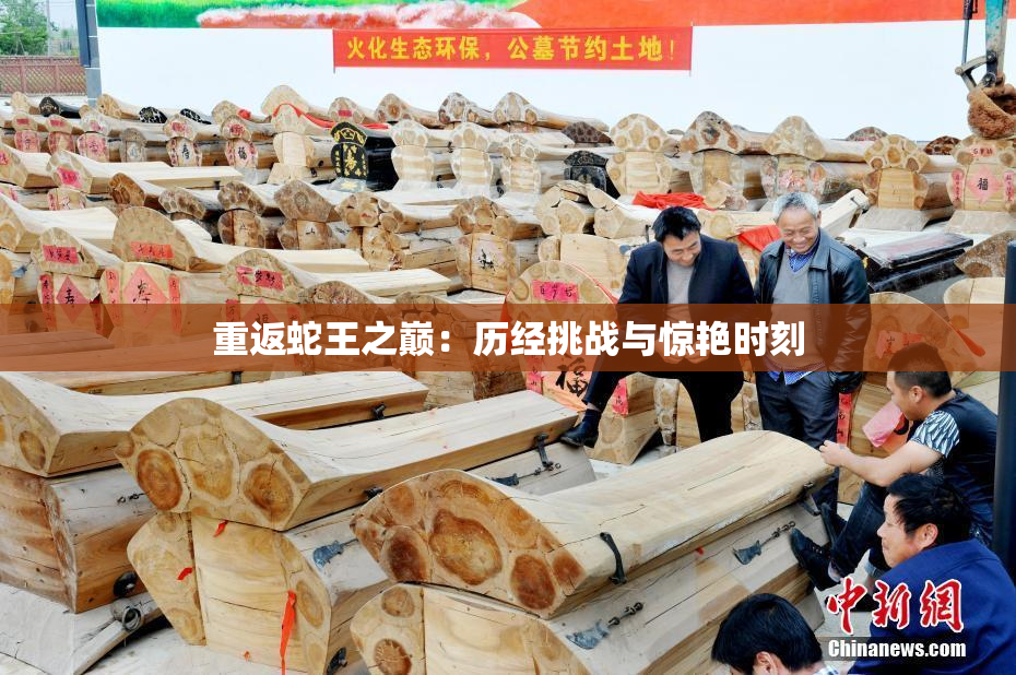 重返蛇王之巅：历经挑战与惊艳时刻