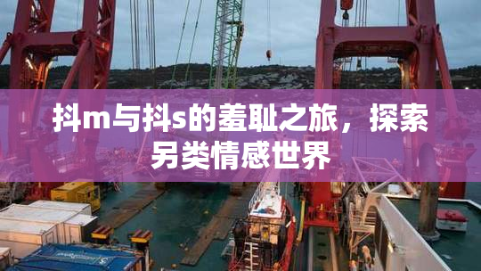 抖m与抖s的羞耻之旅，探索另类情感世界