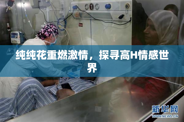 纯纯花重燃激情，探寻高H情感世界