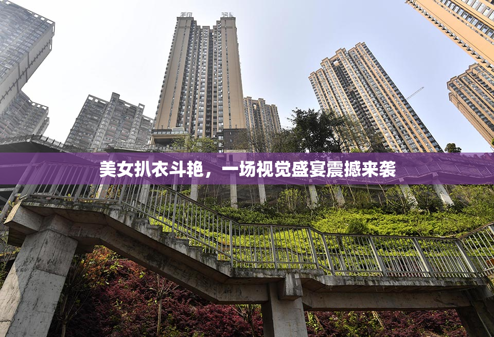 美女扒衣斗艳，一场视觉盛宴震撼来袭