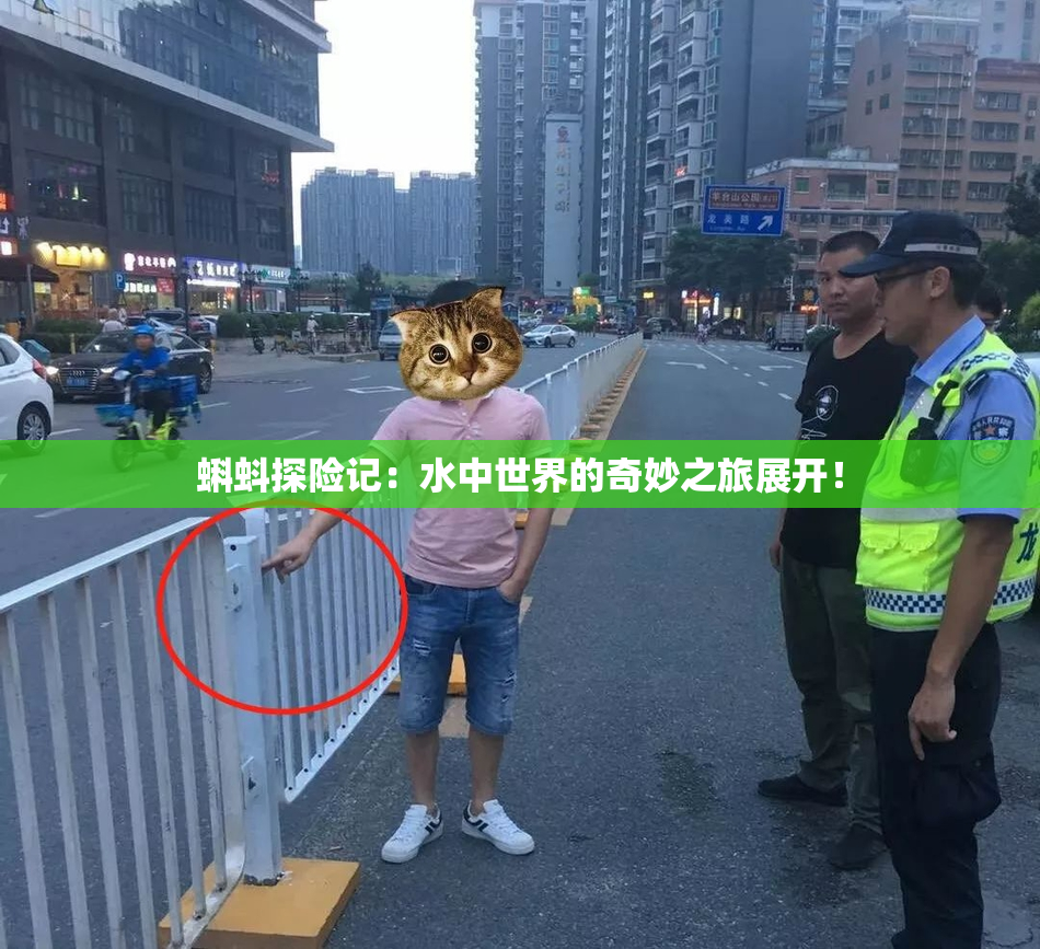 蝌蚪探险记：水中世界的奇妙之旅展开！