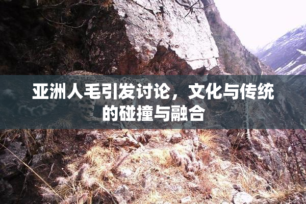 亚洲人毛引发讨论，文化与传统的碰撞与融合